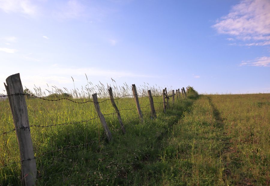 Five strand barbed wire cattle fence on treated posts with a wood corner assembly