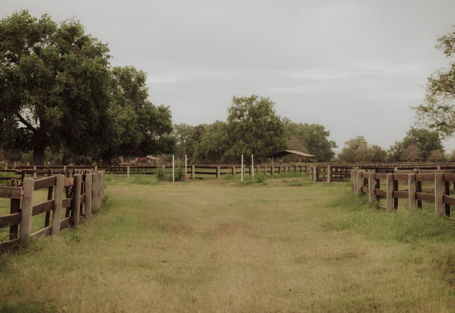 New farm fence with a braced corner assembly and tight wire across Ozarks pasture near Springfield Missouri